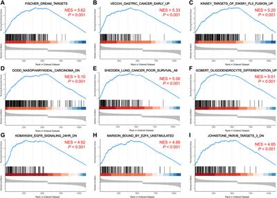 Predicting AURKA as a novel therapeutic target for NPC: A comprehensive analysis based on bioinformatics and validation